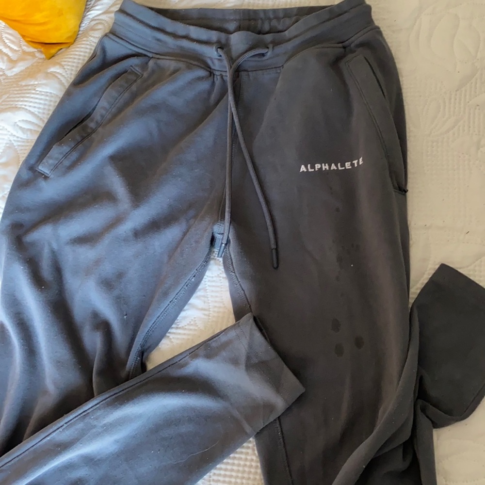 Alphalete Joggers in Grey